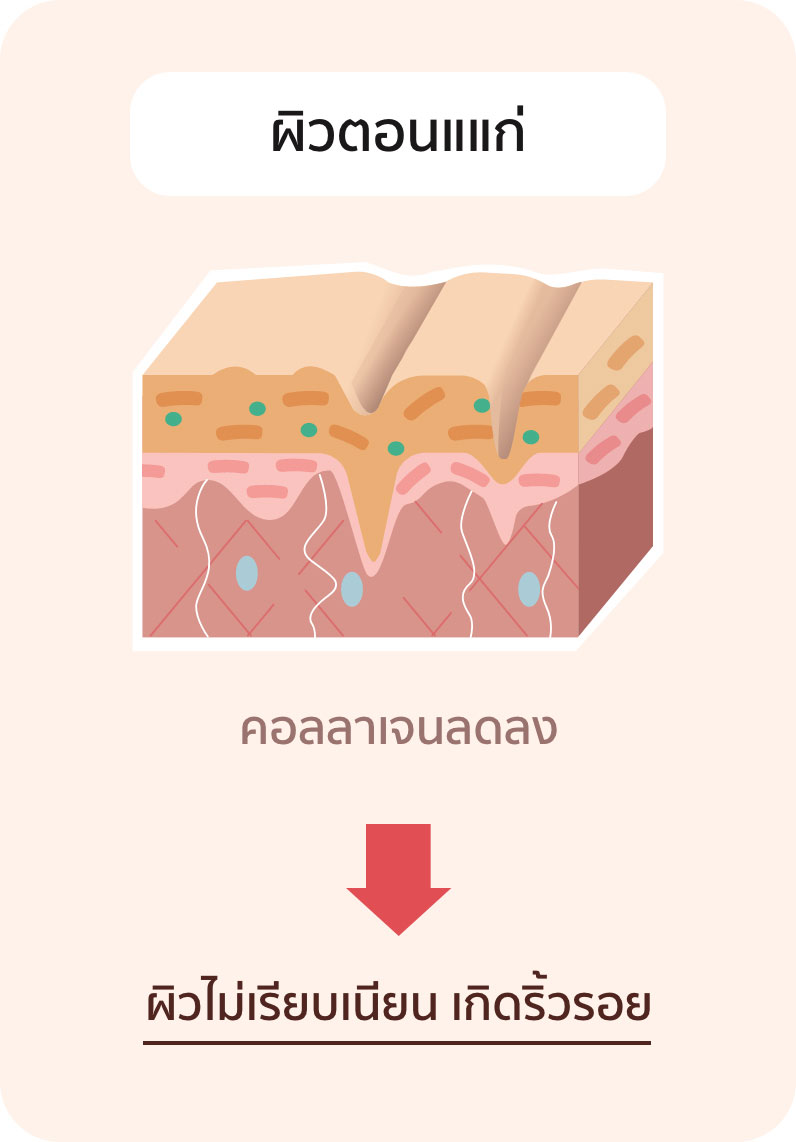 Nutrilite-Collagen-005.jpg
