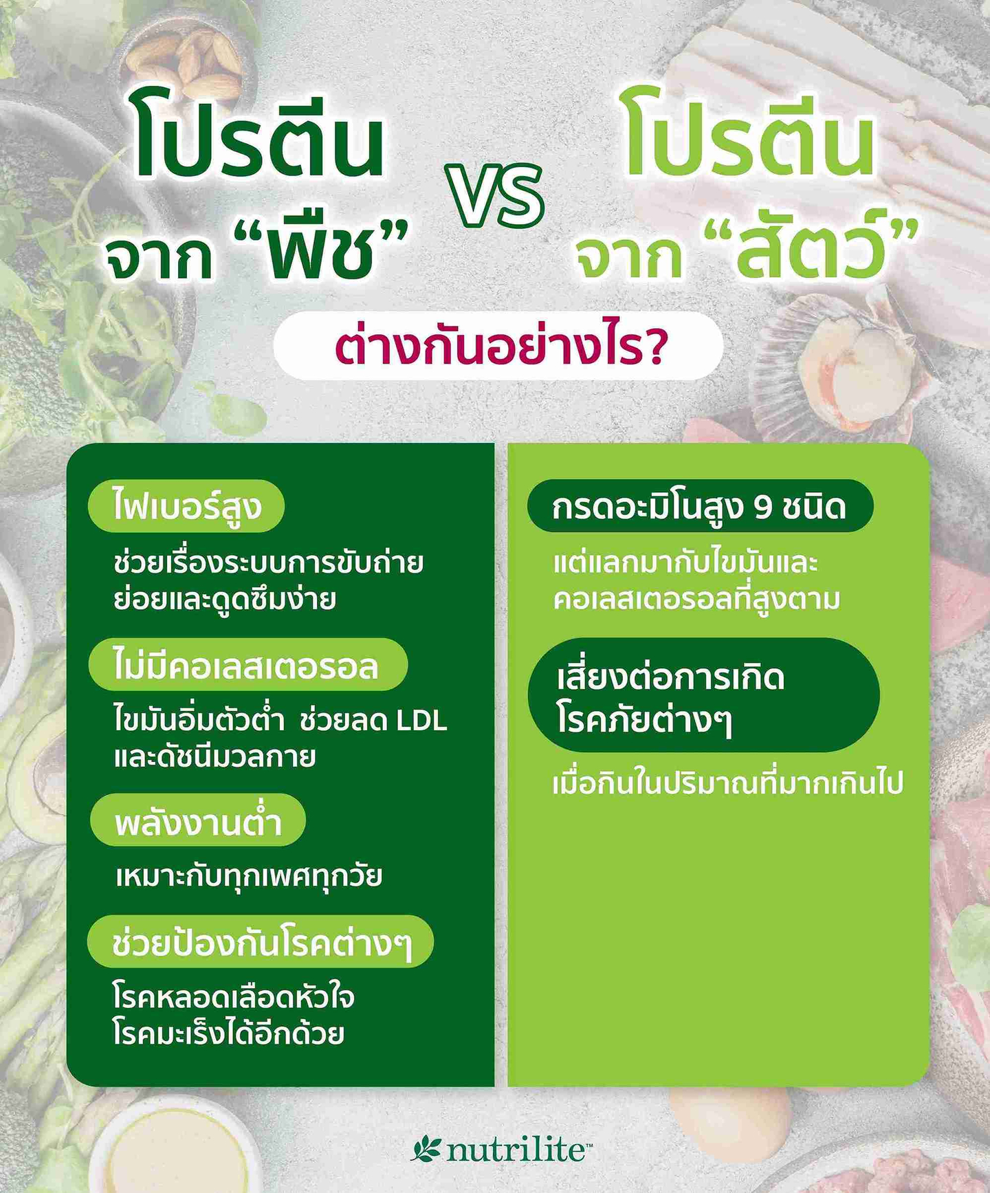 โปรตีนจากพืช VS โปรตีนจากสัตว์ ต่างกันอย่างไร