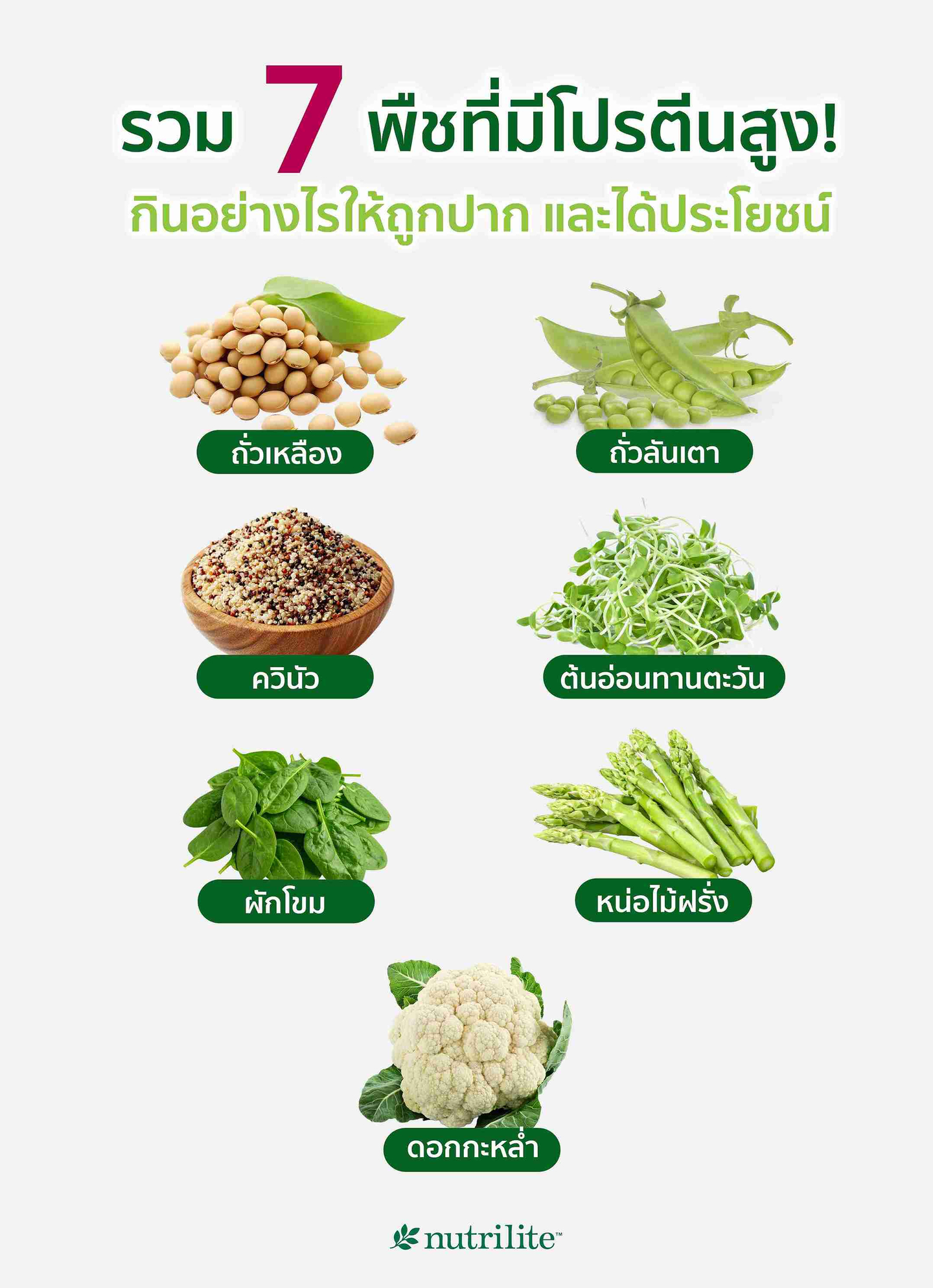 รวม 7 พืชที่มีโปรตีนสูง