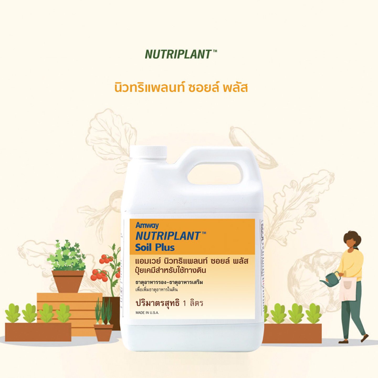 ไม่มีรูปภาพ