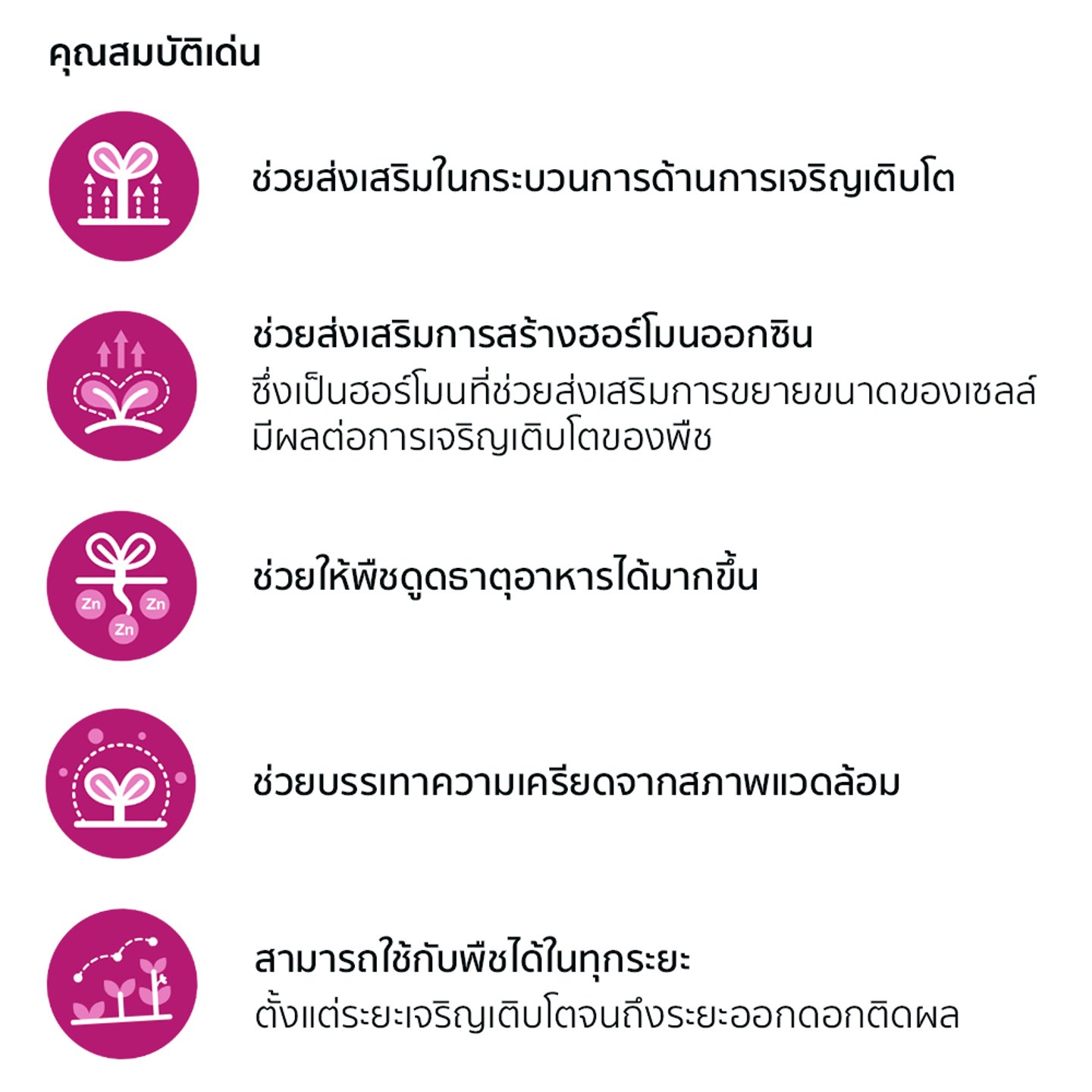 ไม่มีรูปภาพ