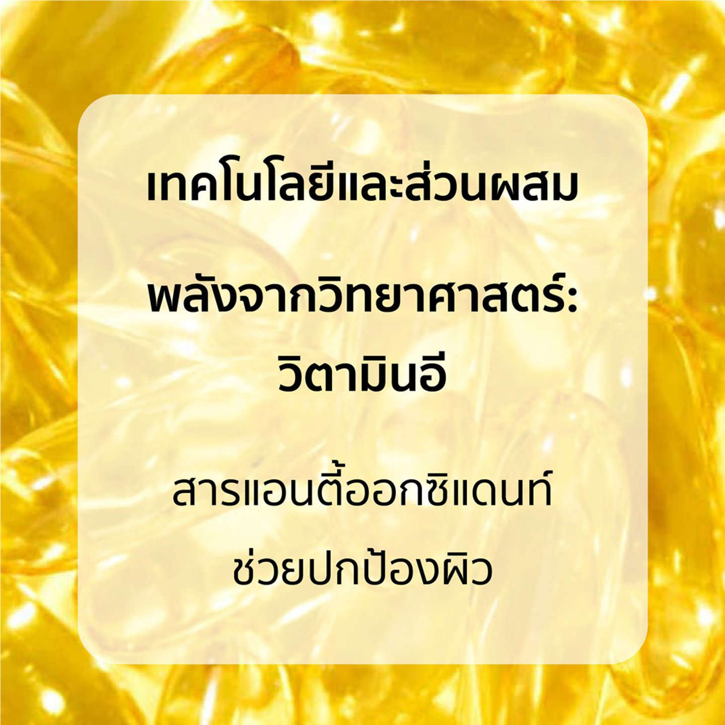 ไม่มีรูปภาพ