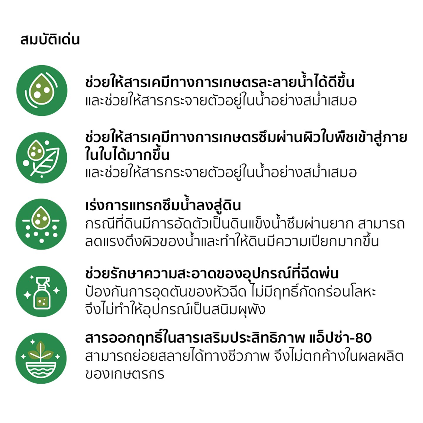 ไม่มีรูปภาพ