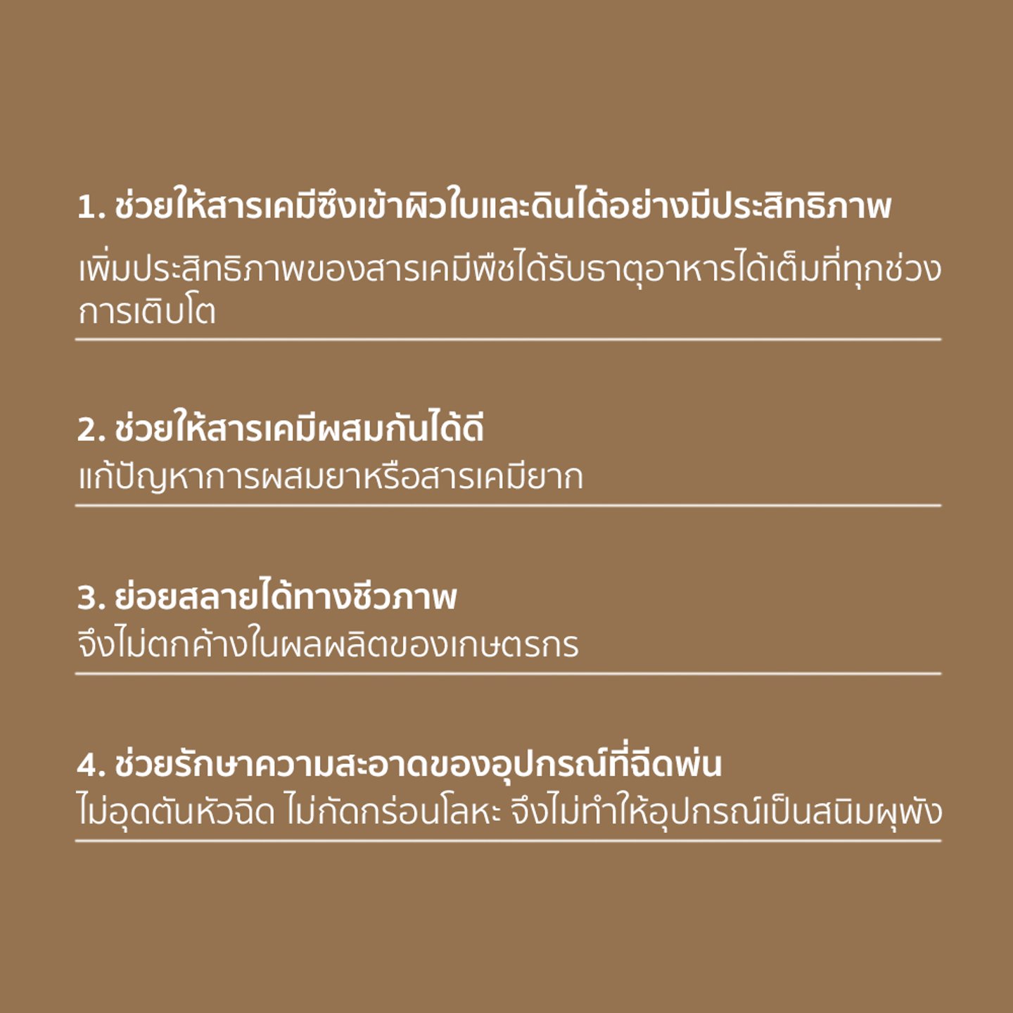 ไม่มีรูปภาพ