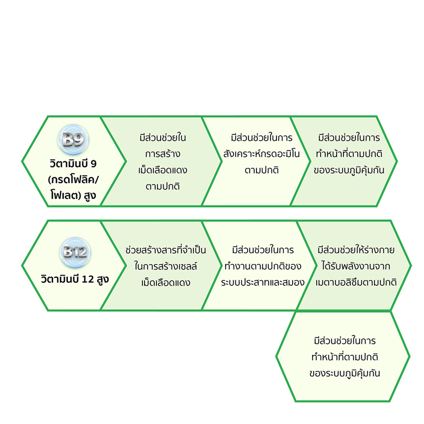 ไม่มีรูปภาพ