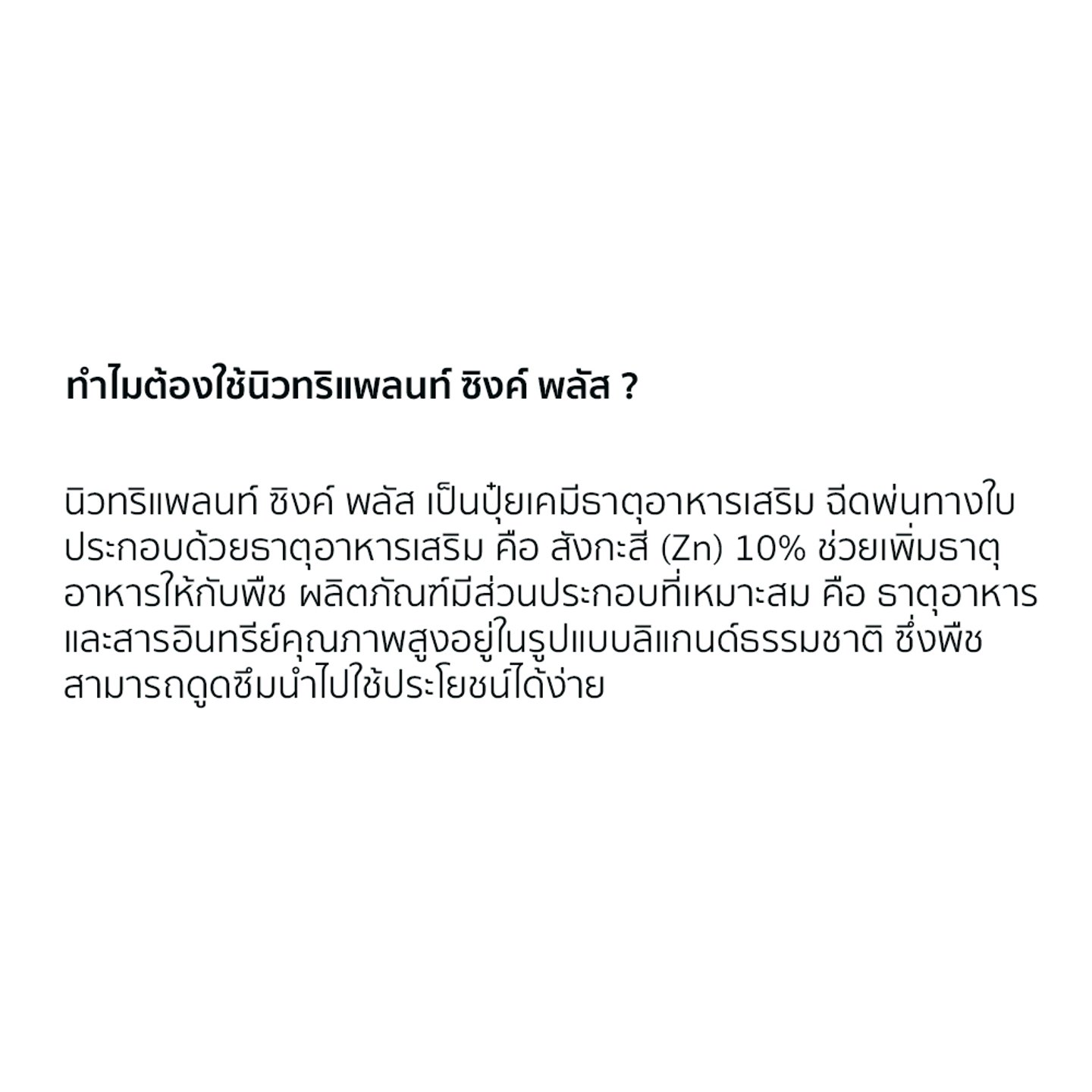 ไม่มีรูปภาพ