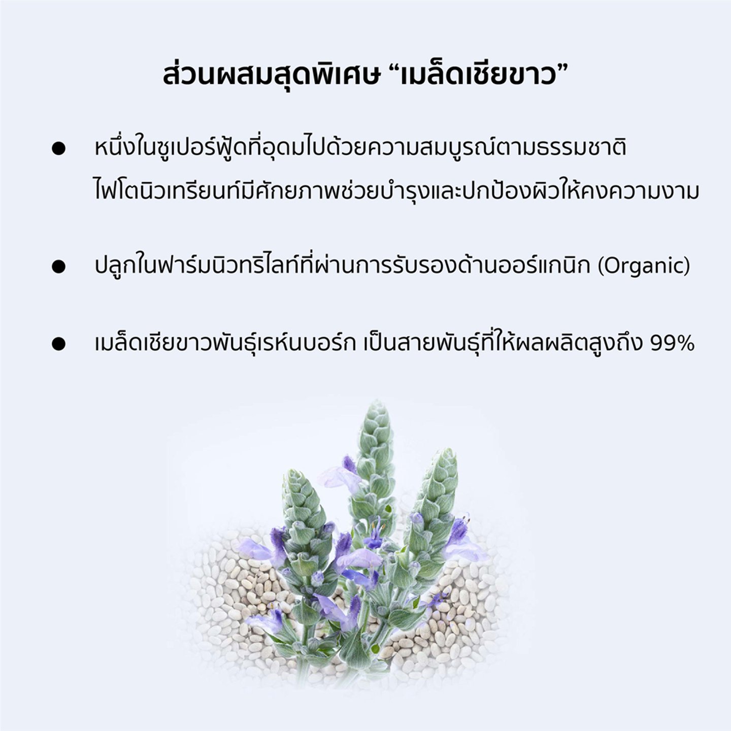 ไม่มีรูปภาพ