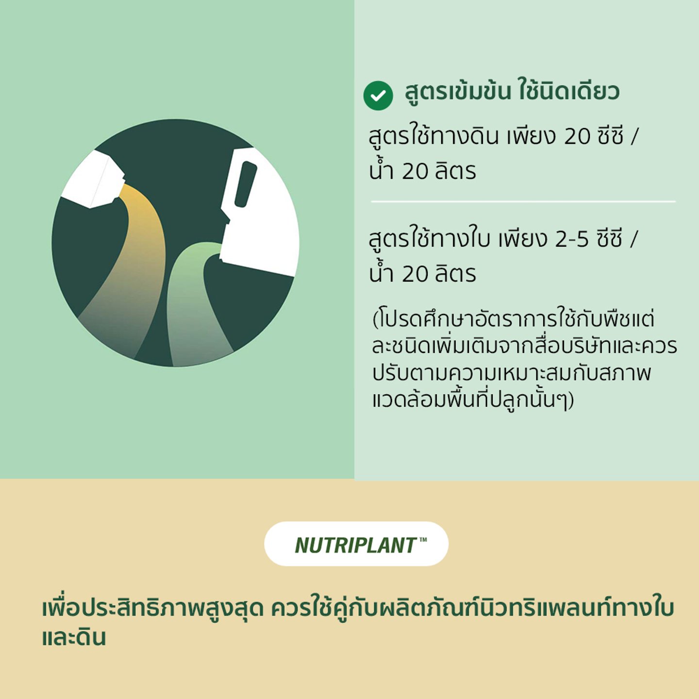 ไม่มีรูปภาพ