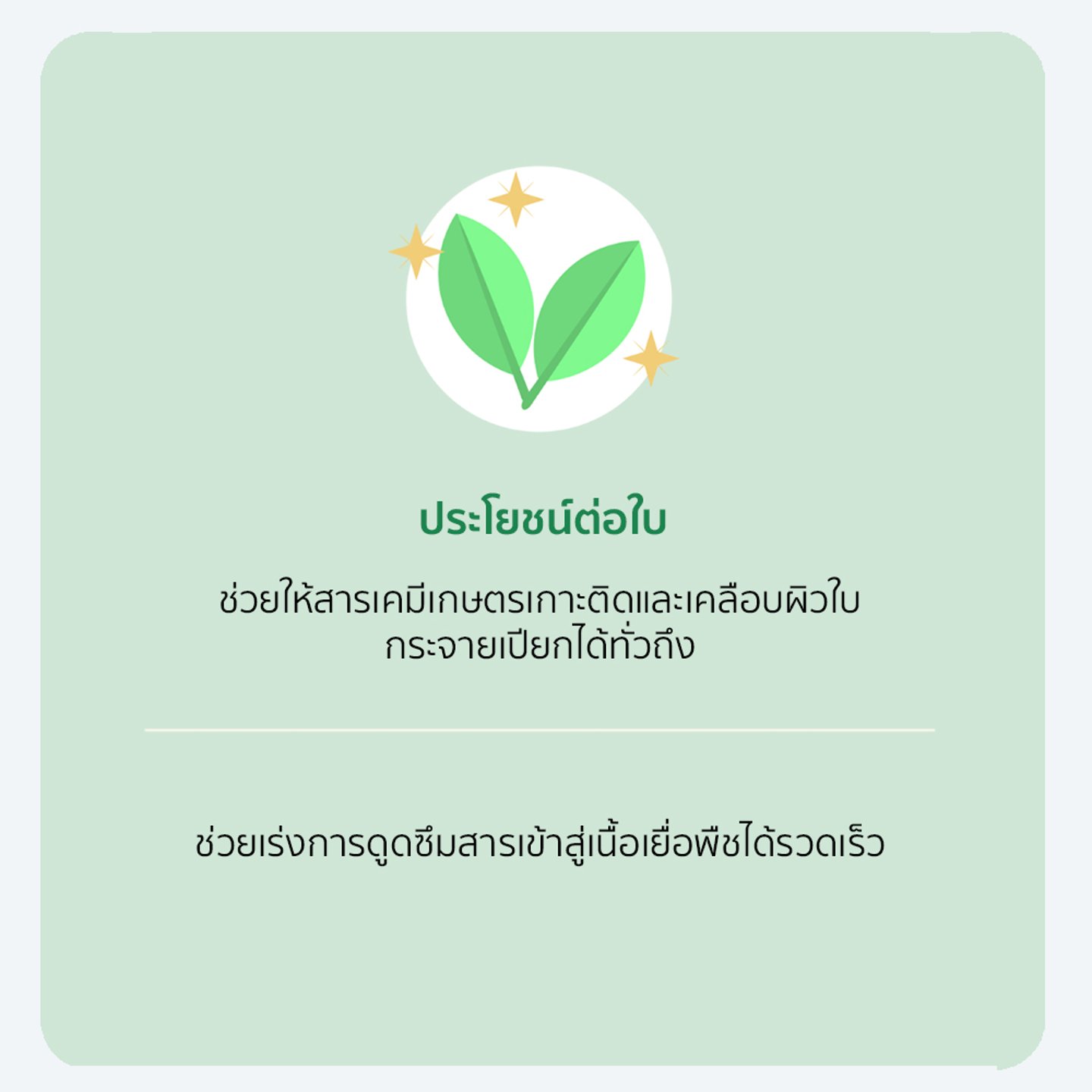 ไม่มีรูปภาพ