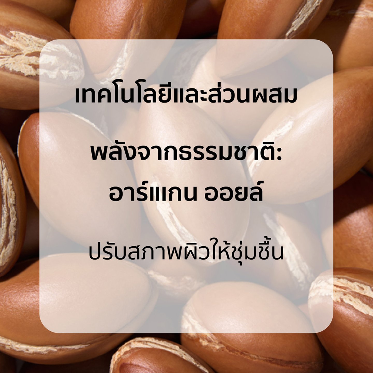 ไม่มีรูปภาพ