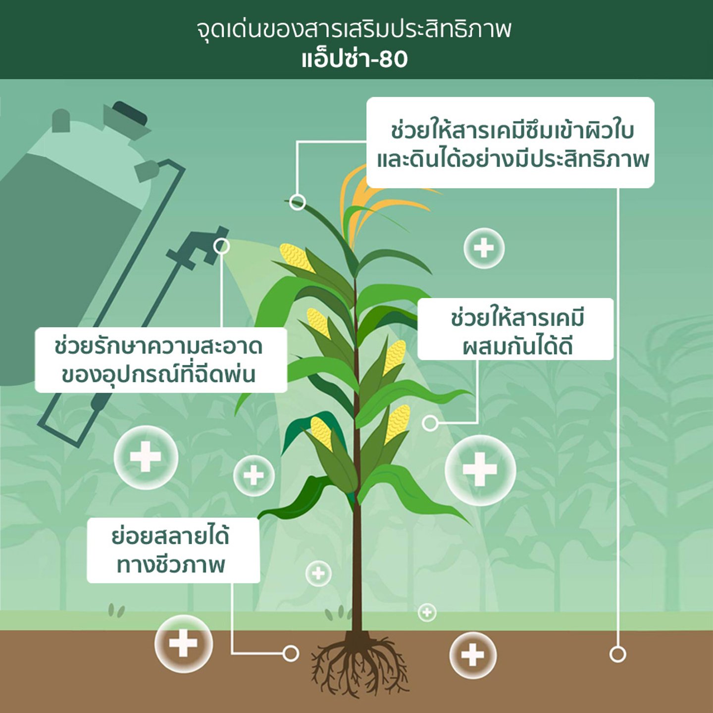 ไม่มีรูปภาพ