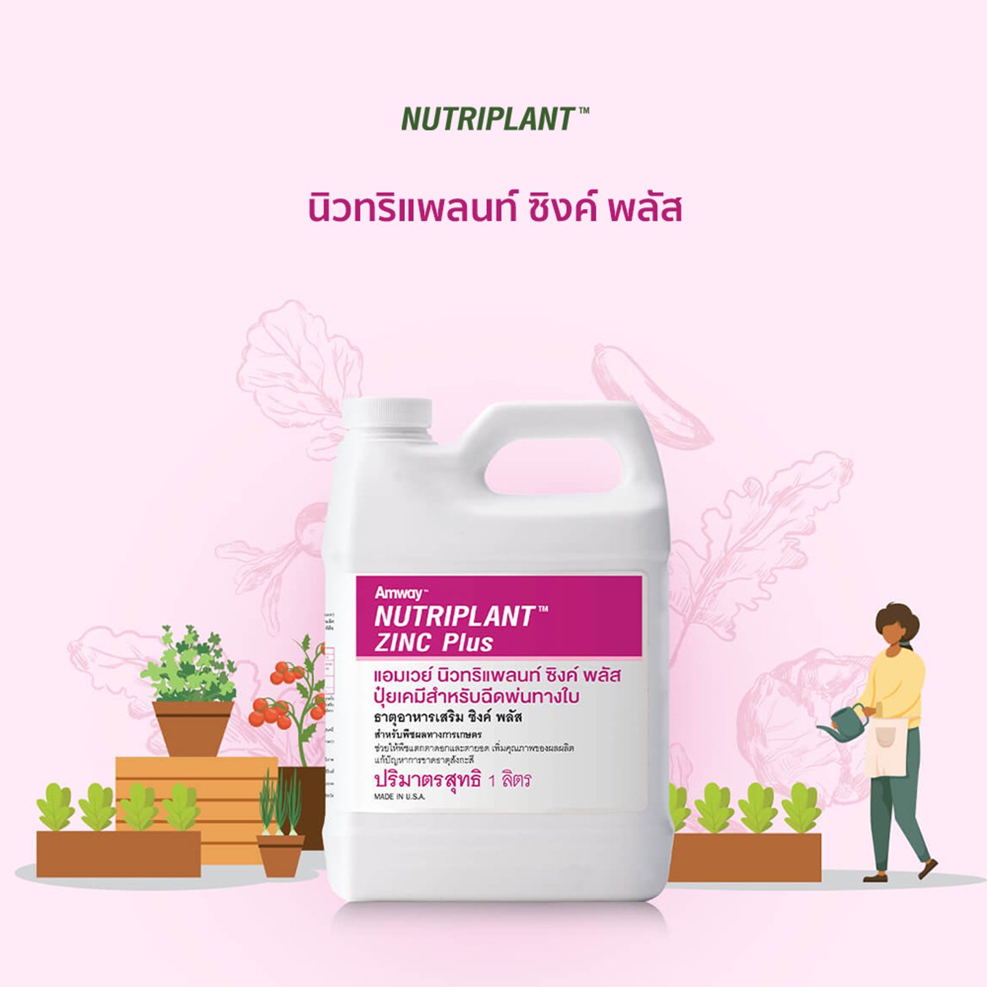 ไม่มีรูปภาพ