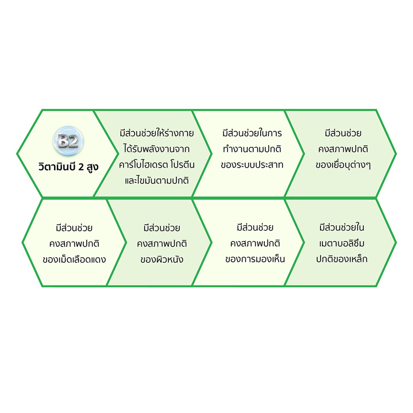 ไม่มีรูปภาพ