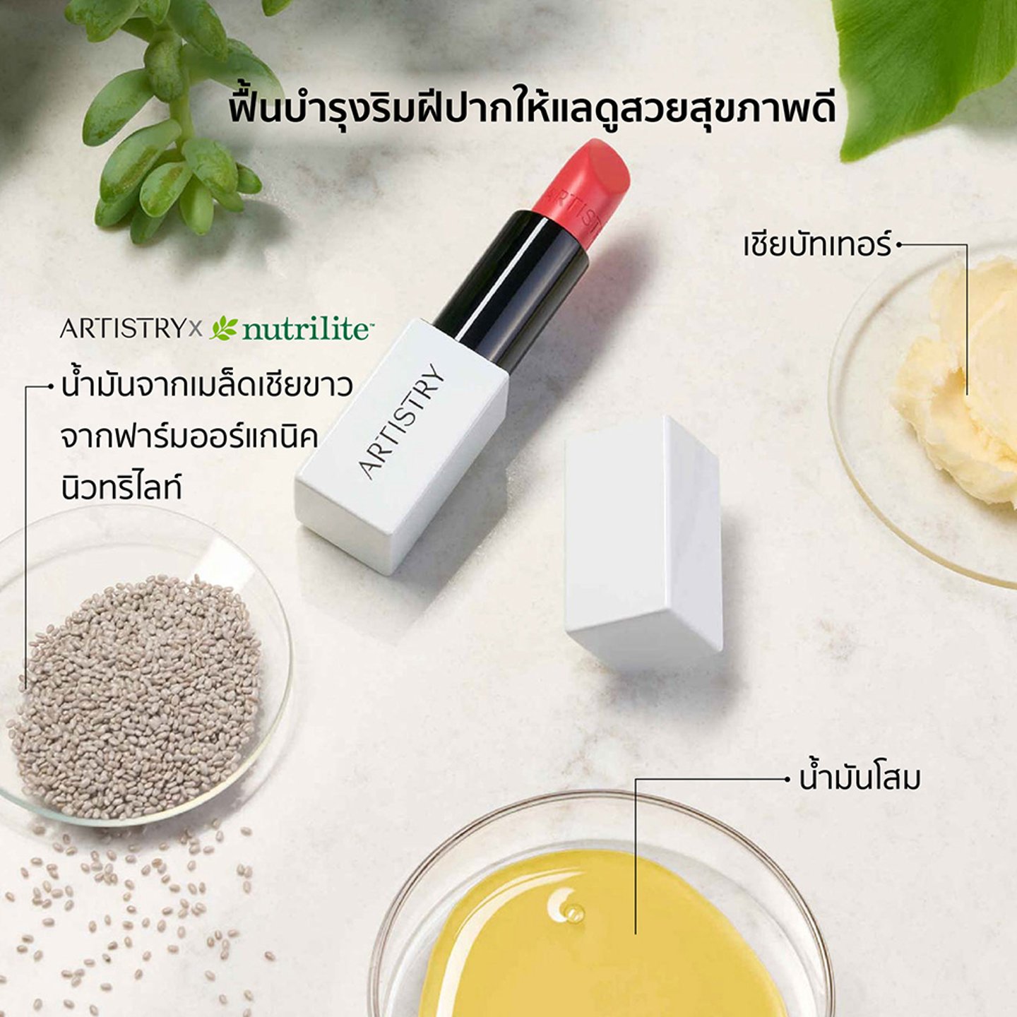 ไม่มีรูปภาพ