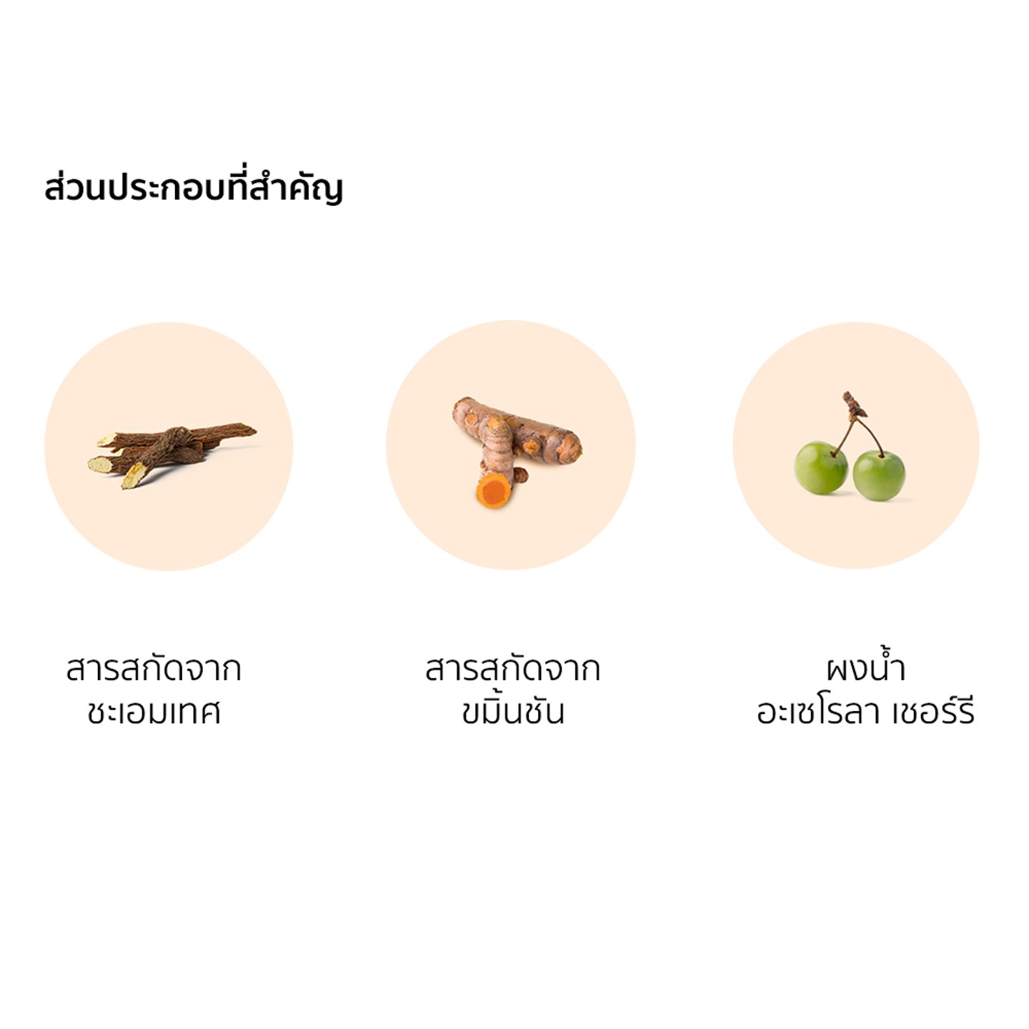 ไม่มีรูปภาพ