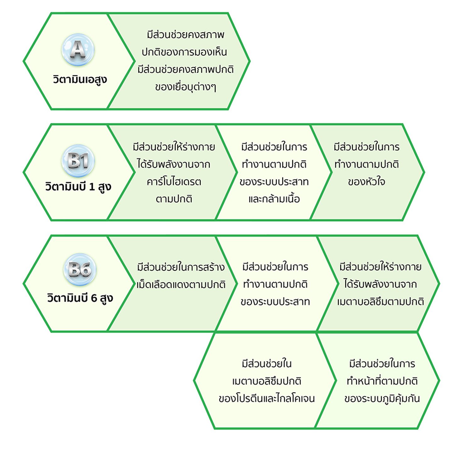 ไม่มีรูปภาพ